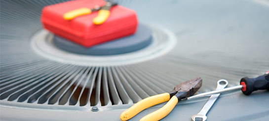 ������������ ������ ����������